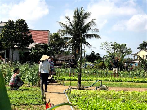 قرية ترا كيو للخضروات       Tra Que Vegetable Village ‬