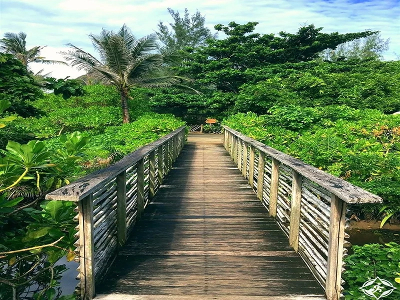 حديقة كون داو الوطنية  Con Dao National Park