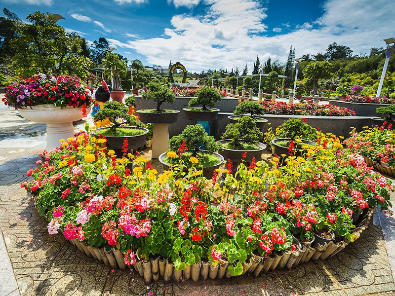 حديقة الزهور Dalat Flower Garden