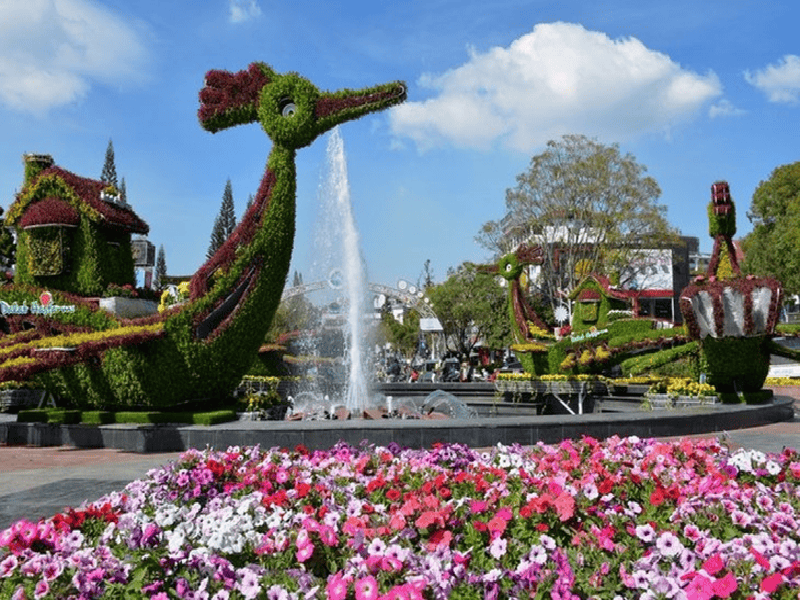 حديقة الزهور في دالات ‪‪Dalat Flower Park‬‬