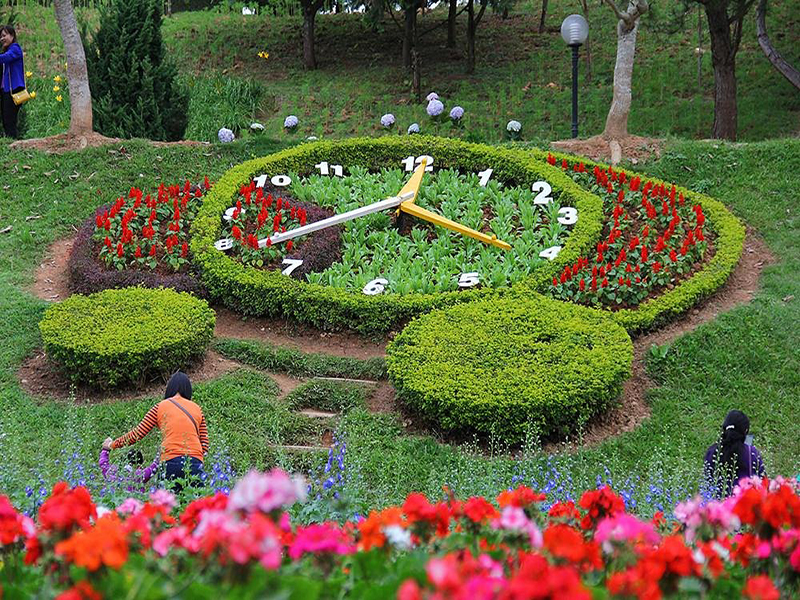 حديقة الزهور في دالات ‪‪Dalat Flower Park‬‬