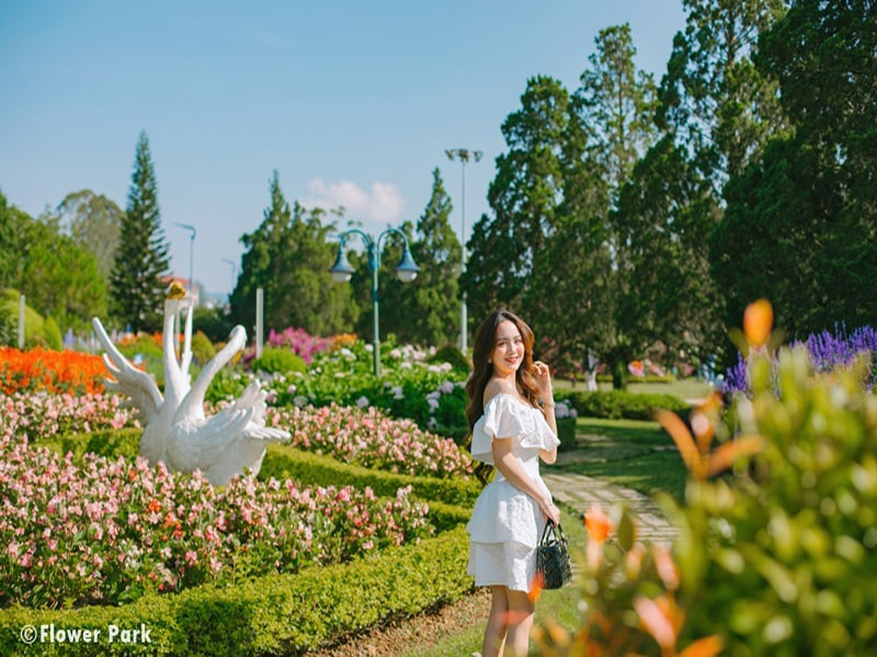 حديقة الزهور في دالات ‪‪Dalat Flower Park‬‬