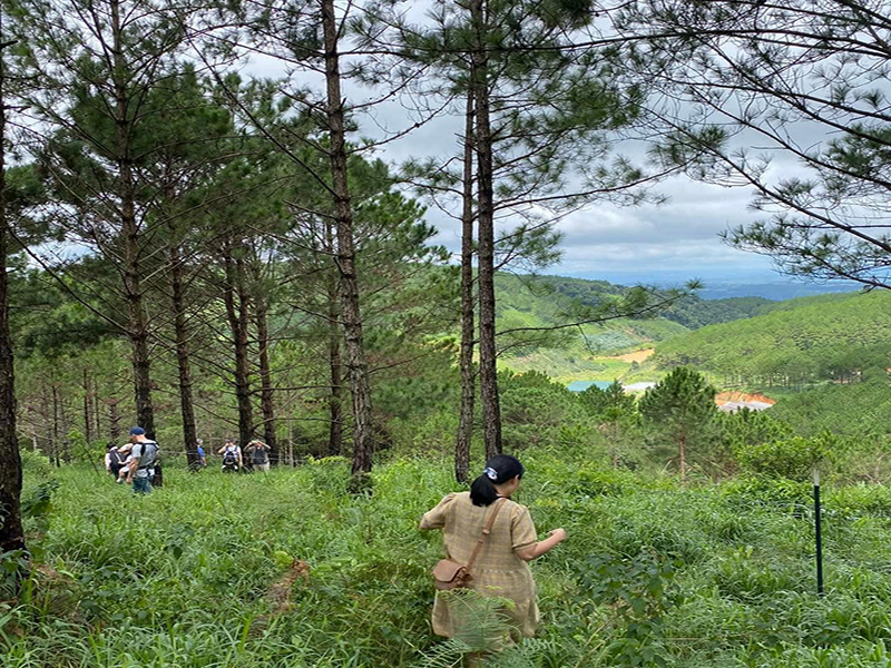 مزرعة الجبل الأزرق ‪‪Dalat Blue Mountain Farm‬‬