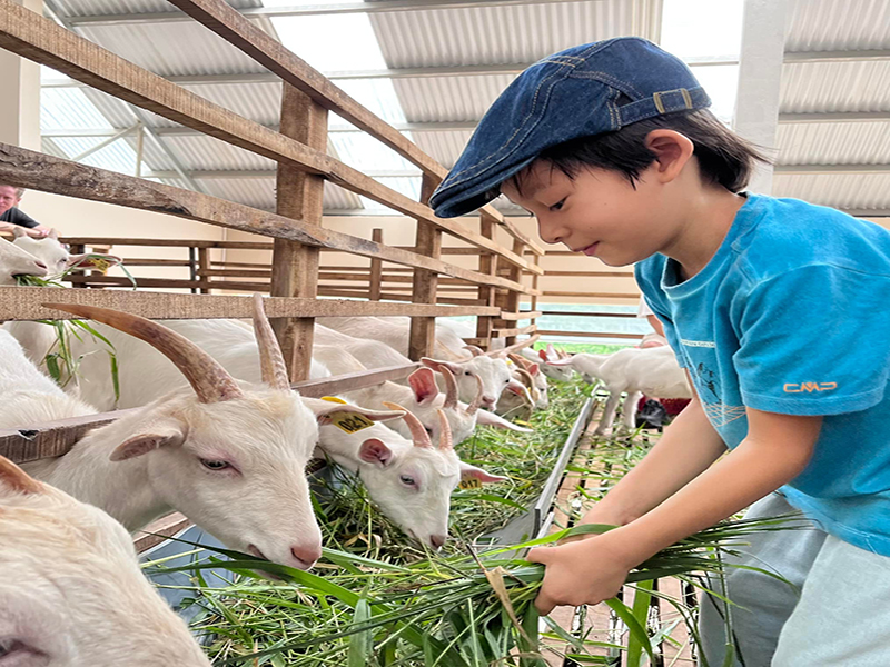 مزرعة الجبل الأزرق ‪‪Dalat Blue Mountain Farm‬‬