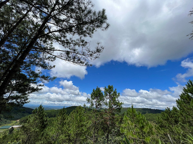 مزرعة الجبل الأزرق ‪‪Dalat Blue Mountain Farm‬‬