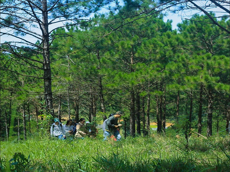 مزرعة الجبل الأزرق ‪‪Dalat Blue Mountain Farm‬‬