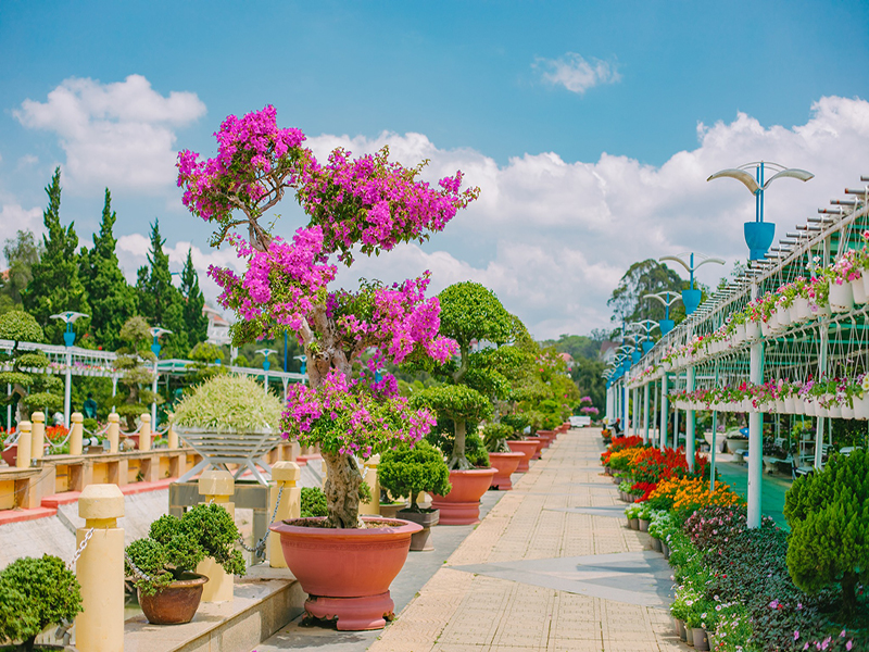 Tourism in da lat