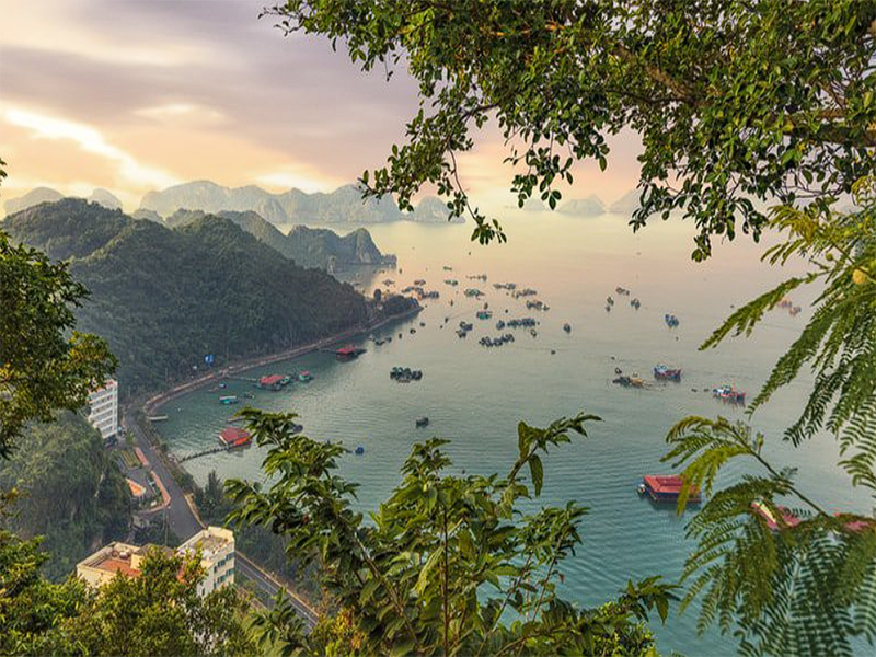 حديقة كات با الوطنية  Cat Ba National Park