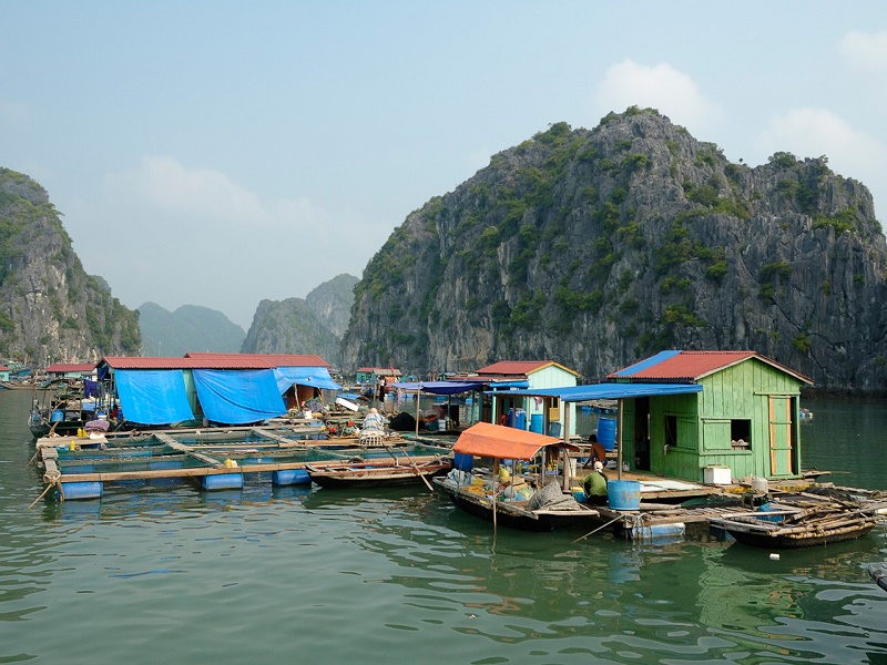 قرية الصيد كاي بي Cai Beo Fishing Village