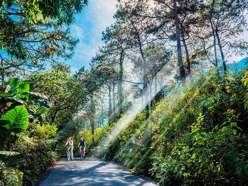 حديقة با في الوطنية Ba Vi National Park