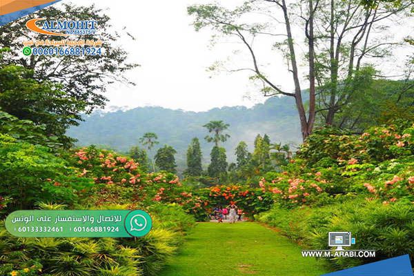 حديقة بينانج النباتية Penang Botanic Gardens