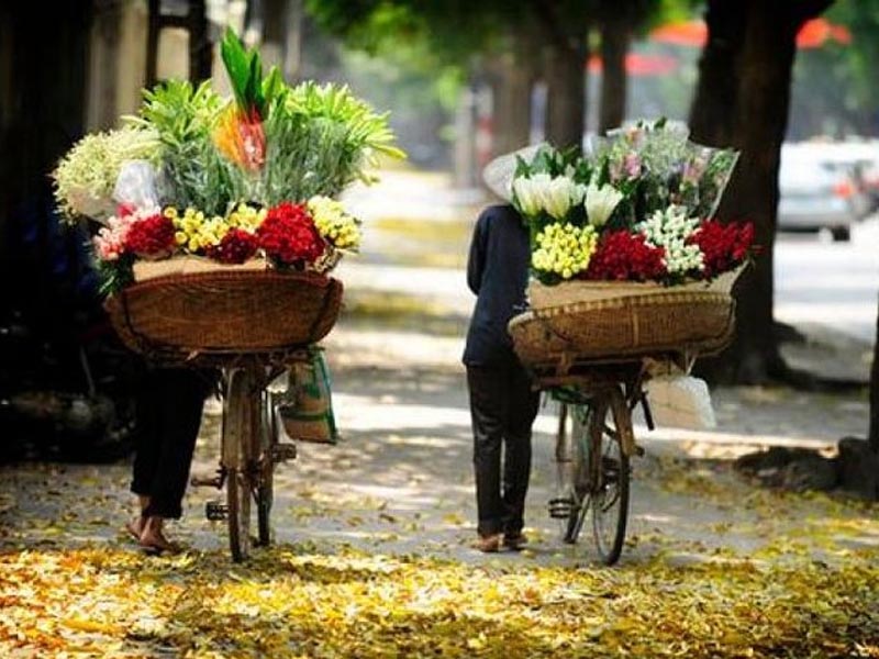 Quang%20Ba%20Flower%20Market3.jpg