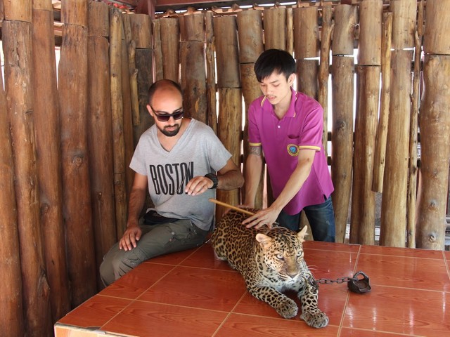 chang-thai-thappraya-safari-pattaya.jpg