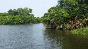 رحلة عبر القارب الى موثوراجاويلا مارش Muthurajawela Marsh